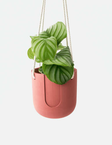 Nelson Hanging Planter