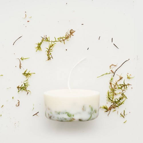 Moss Candles