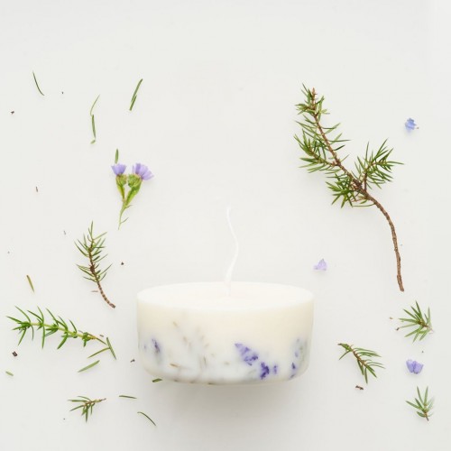 Juniper And Limonium Candles